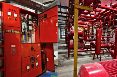 Home untitled design (5)